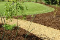 /album/fotogalerie-vysadba1/a67-b-jpg/